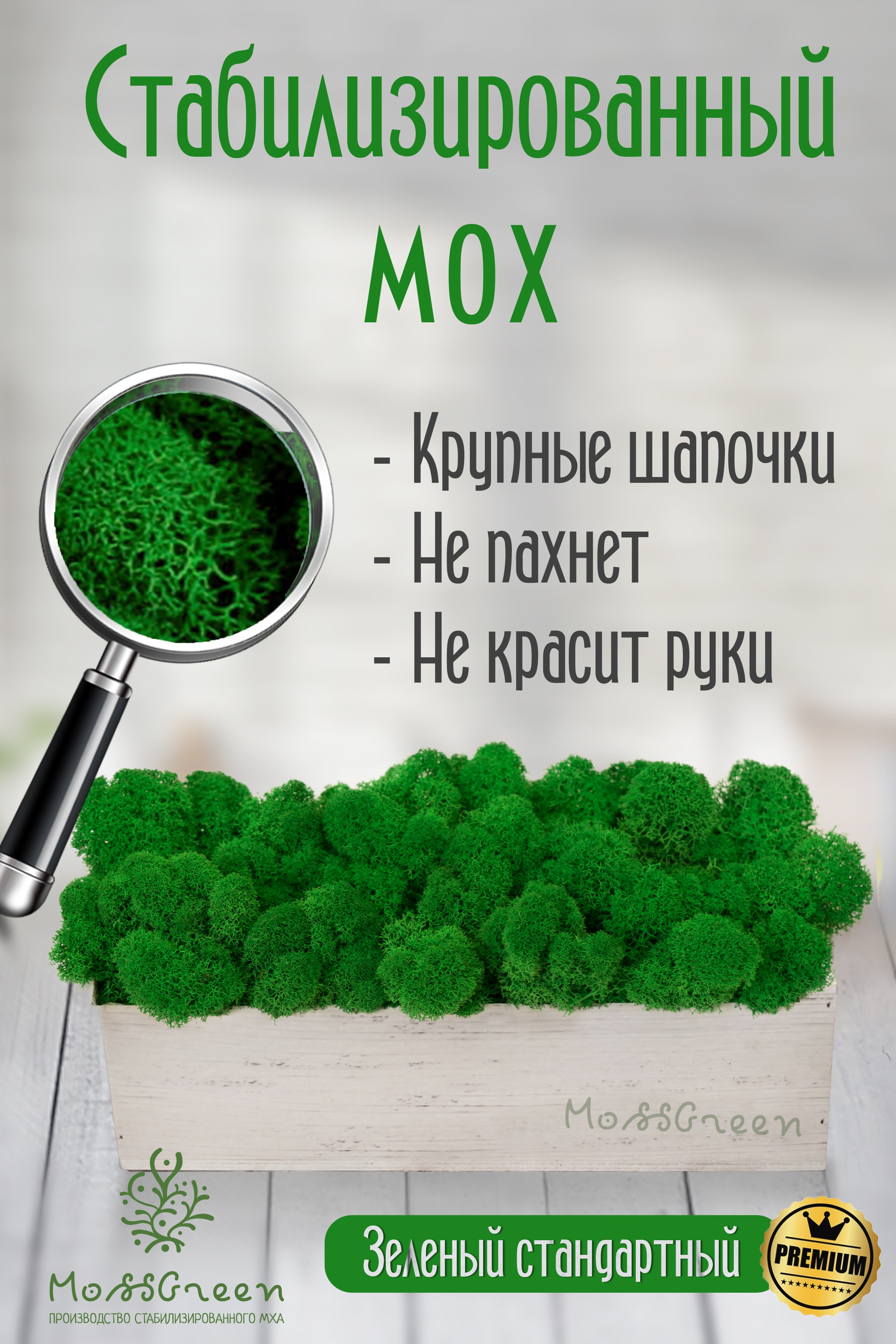 Мох стабилизированный 500 гр/мох ягеля MossGreen цвет 9 Зеленый стандартный
Мох стабилизированный 500 гр/мох ягеля MossGreen цвет 9 Зеленый стандартный