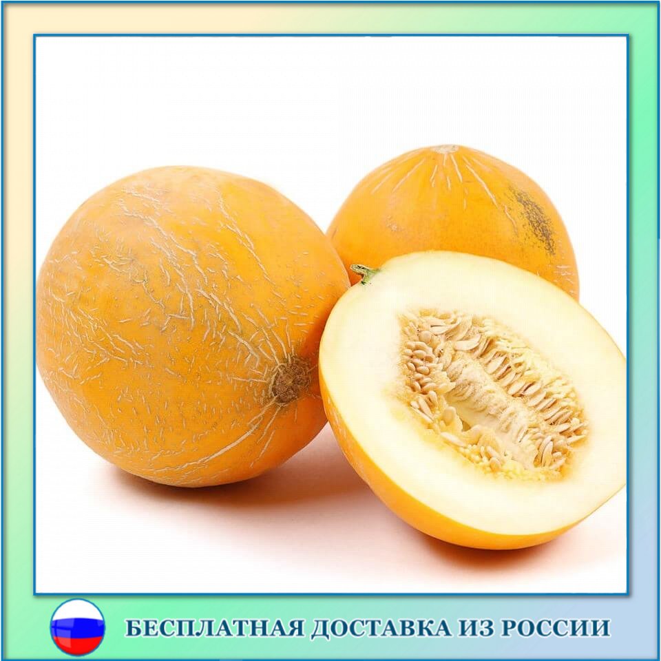 Дыня колхозница семена 10 шт.
Дыня колхозница семена 10 шт.