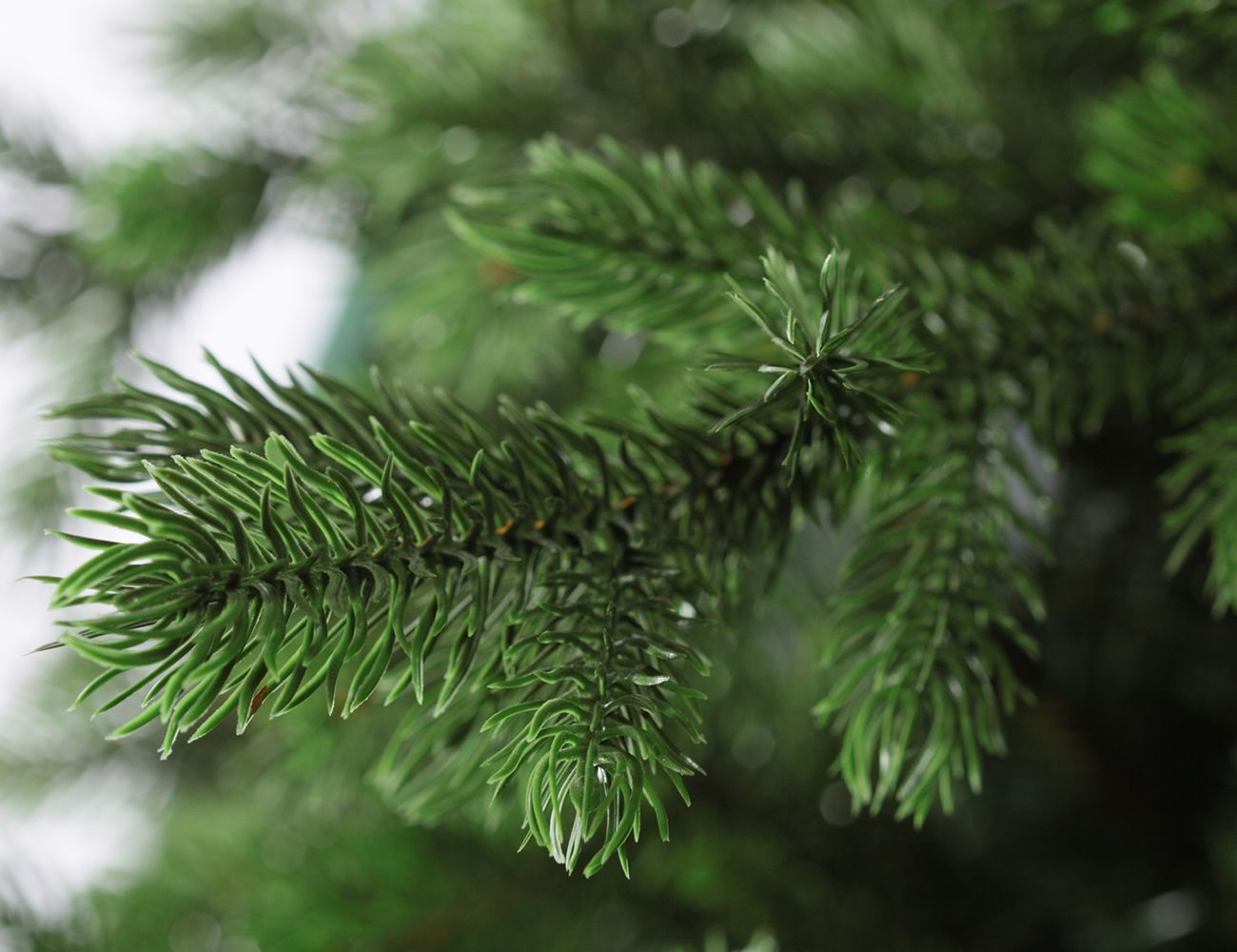 Ель искусственная АСТЕРИЯ ПРЕМИУМ3D,(хвоя-100% литая PE),Царь елка зелёная,1.5 м,1.8 м,2.30 м,российский производитель,Новый год
Ель искусственная АСТЕРИЯ ПРЕМИУМ3D,(хвоя-100% литая PE),Царь елка зелёная,1.5 м,1.8 м,2.30 м,российский производитель,Новый год