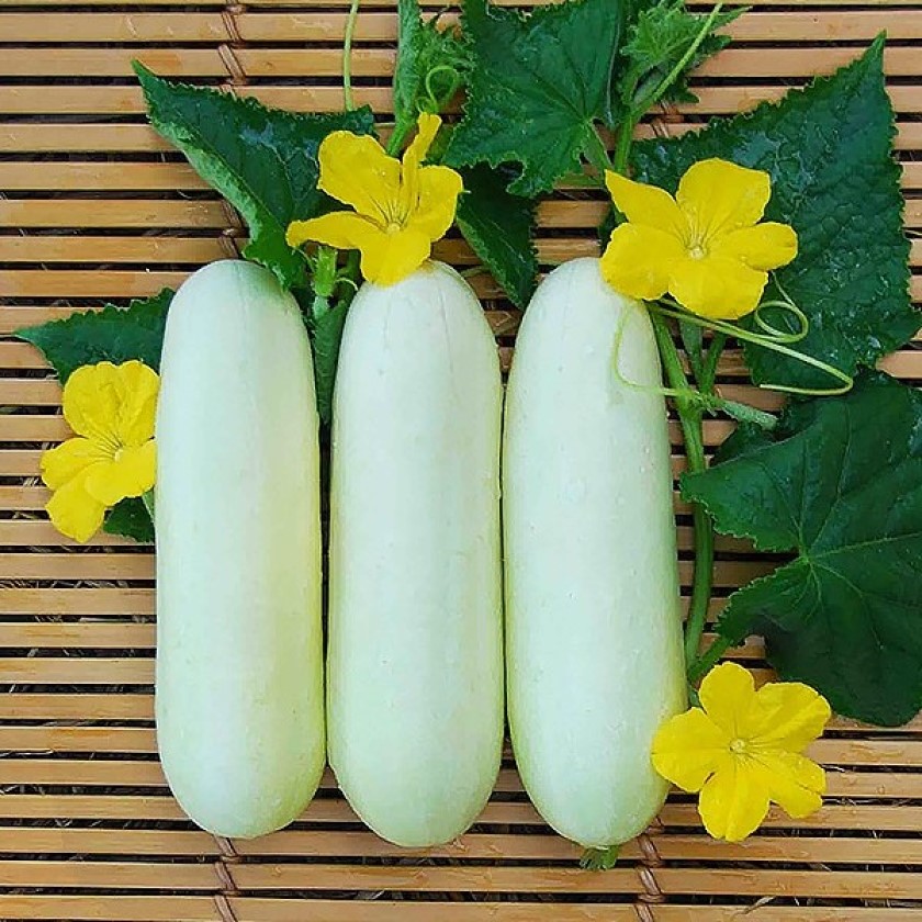 Огурец Белое чудо семена 15 шт.
Огурец Белое чудо семена 15 шт.