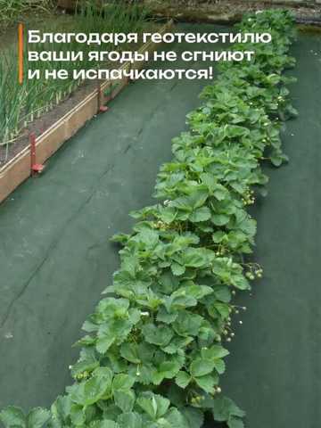 Дорожка Садовая Между Грядок От Сорняков 100 0.8х20 Рулонная