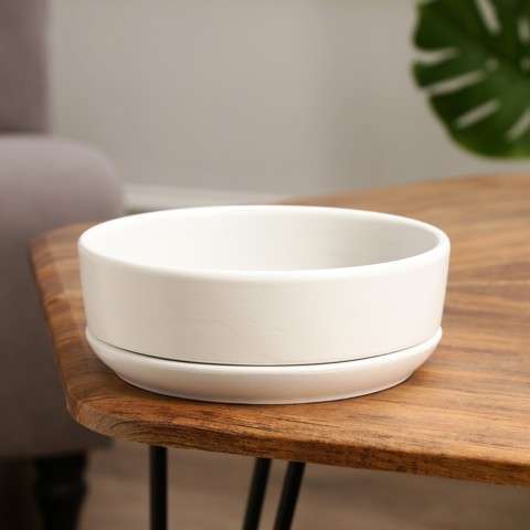 3 шт. Горшок - бонсайница 'Огма', для кактусов и суккулентов, 1.4 л, d18 см, h6.5 см, керамика, с поддоном, белый