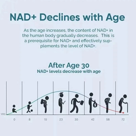 NAD 1000 мг и ресвератрол: Повышают уровень энергии в организме