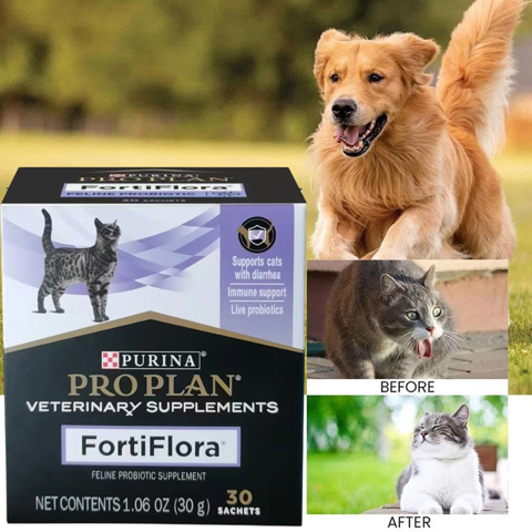 Пробиотик для улучшения пищеварения Pro Plan Fortiflora для собак