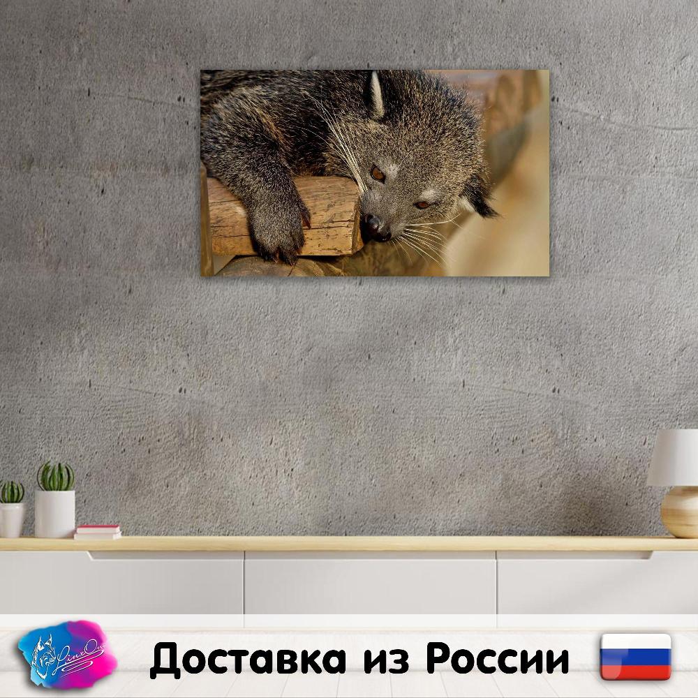 

LinxOne постер "Бинтуронг, хищник, морда, грызть" на экокоже