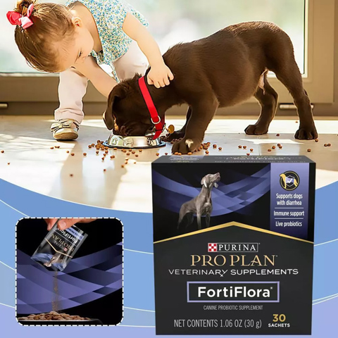 Пробиотик для улучшения пищеварения Pro Plan Fortiflora для собак