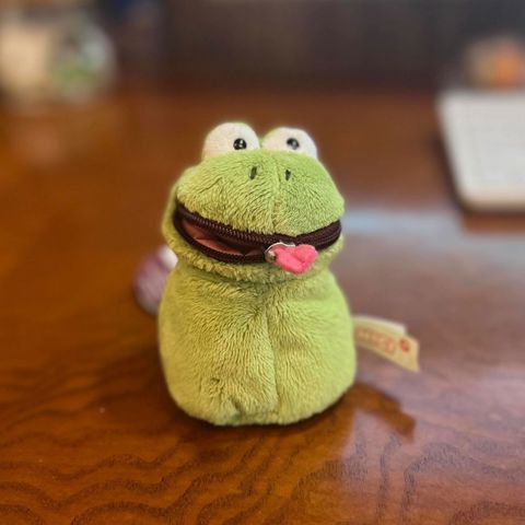 Cartoon coin purse Маленькая Красная Книга Плюшевый КошелеК В Виде Лягушки Креативный Милый Портативный Чехол НаушНиков Сумка Дл