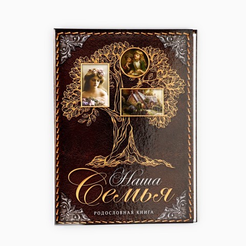 2 шт. Родословная книга 'Наша Семья', 50 листов, 22x31 см