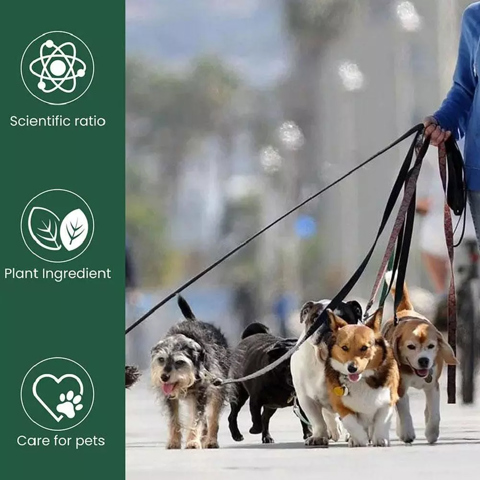 Пробиотик для улучшения пищеварения Pro Plan Fortiflora для собак