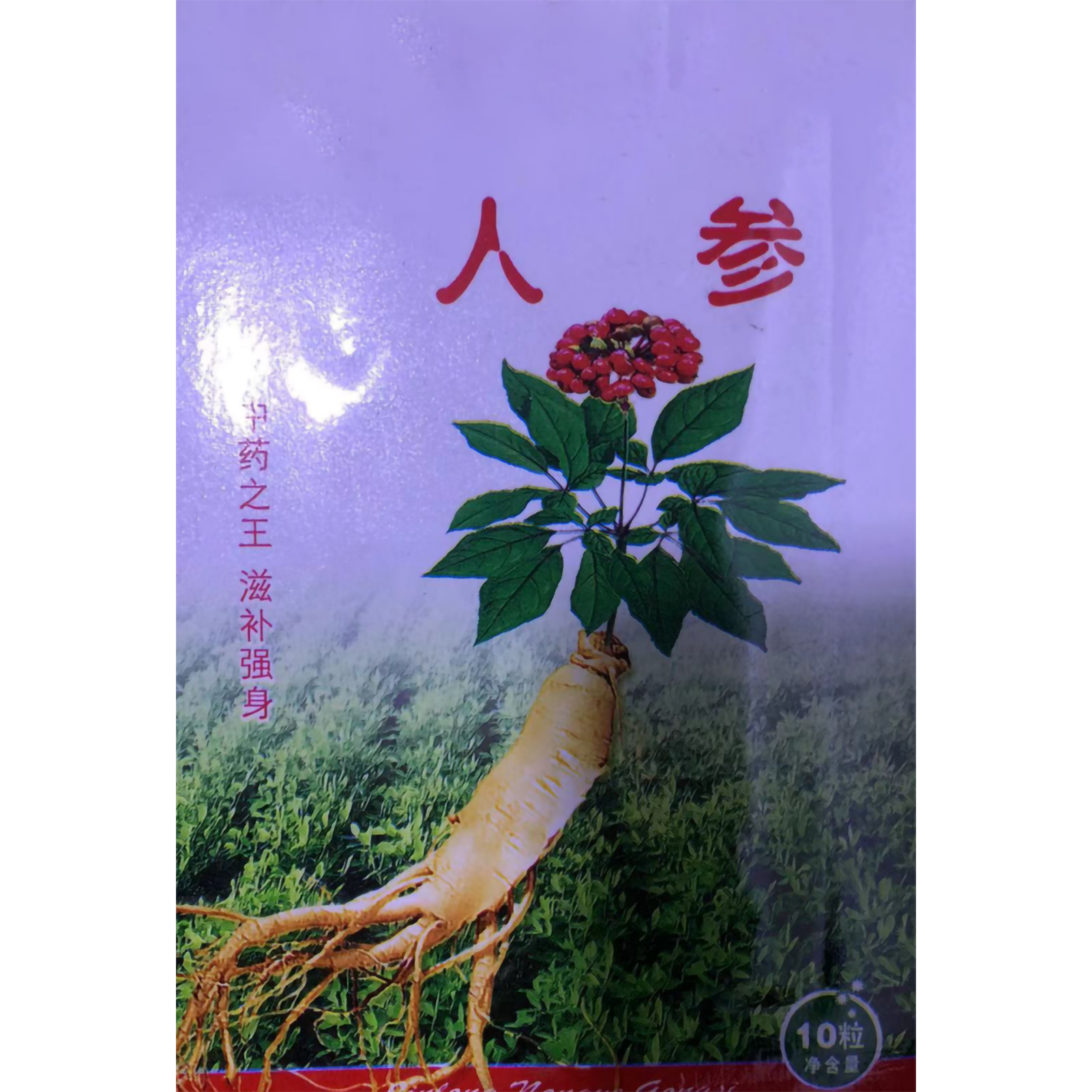 Семена женьшеня Легко растущие семена растений, семена редких лекарственных трав для сада и огорода