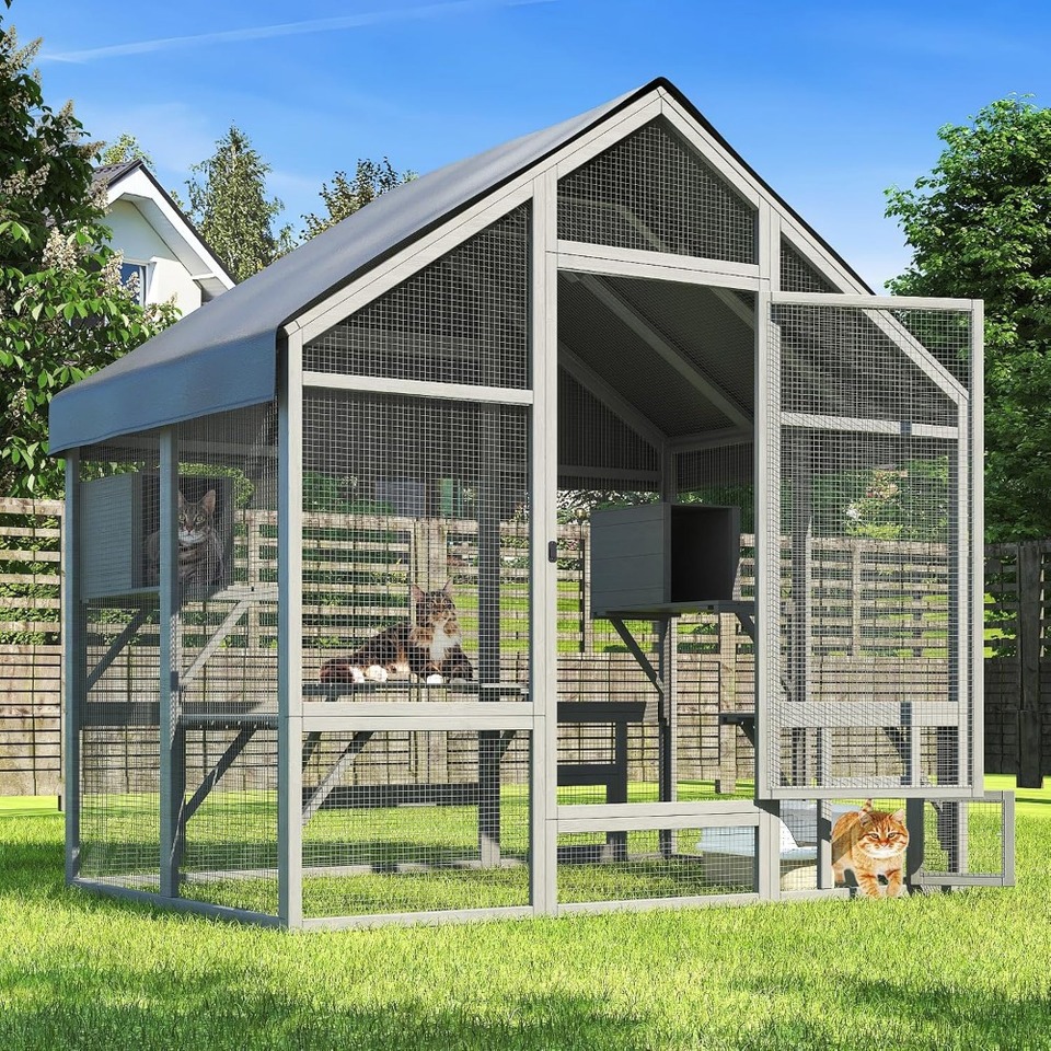 Enclosure — large enclosure in Ashpark