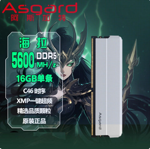 Asgard оперативная память ddr5 озу - купить недорого | AliExpress