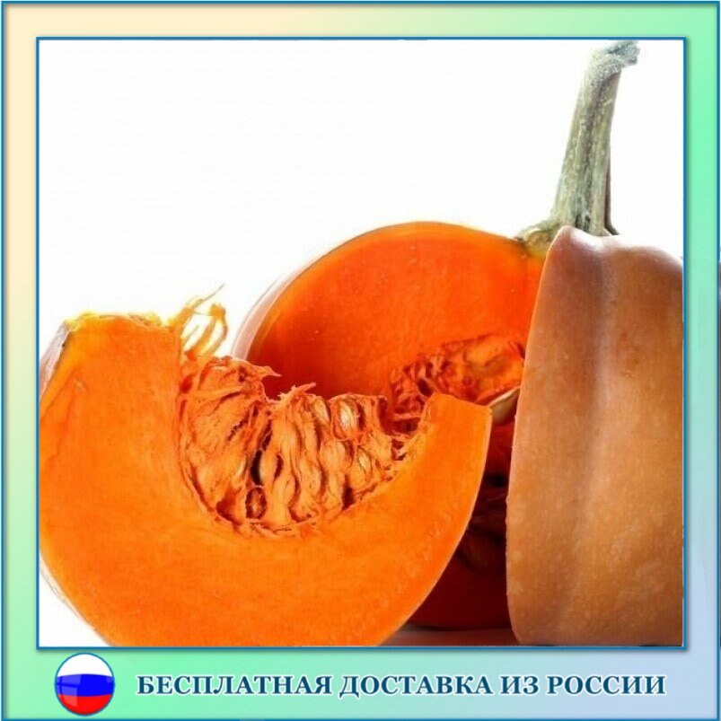 

Тыква столовая зимняя сладкая СЕМЕНА 5 ШТ