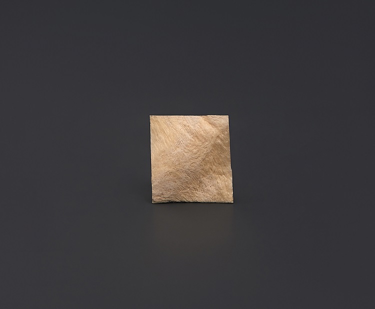 

Твердая Мозговая Оболочка 1.5х1.5