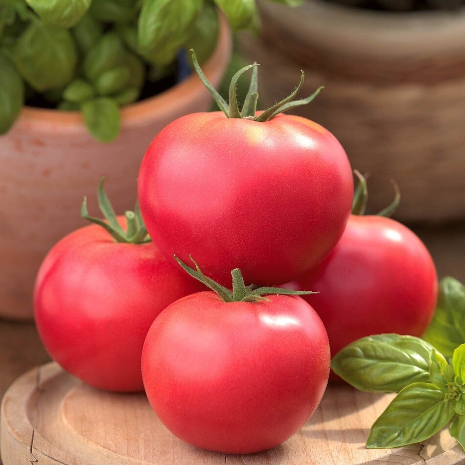 

Семена Томат Китайский рай 10 ШТ