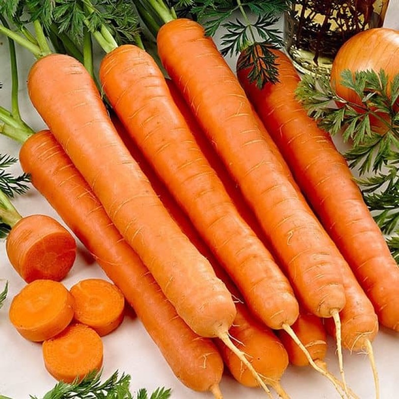 

Семена моркови Тушон Орешка 50 шт.