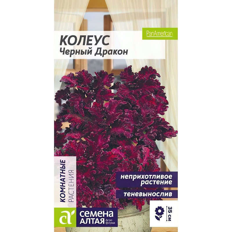 

Колеус Черный Дракон СЕМЕНА (8 шт) комнатные садовые цветы