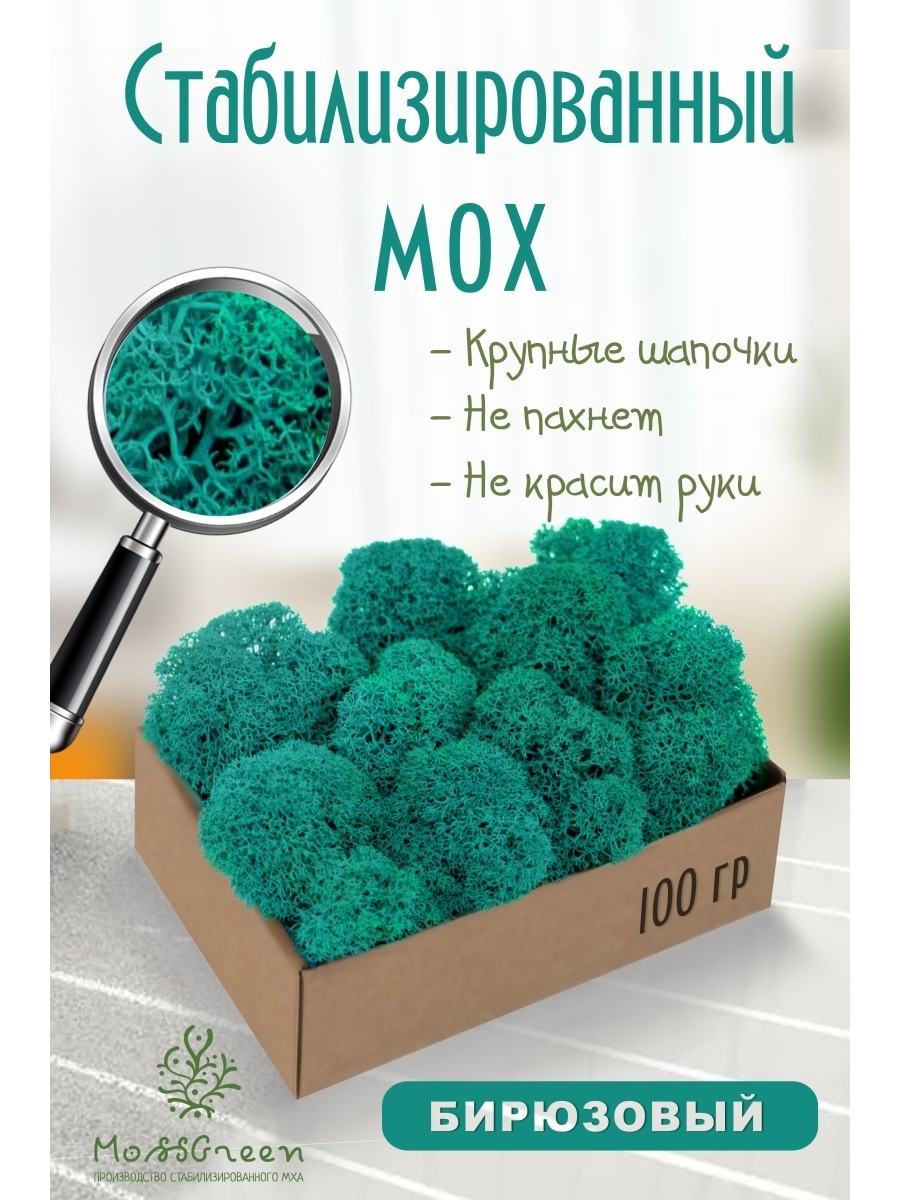 

Мох стабилизированный 100 гр/мох ягеля MossGreen цвет 14 бирюзовый