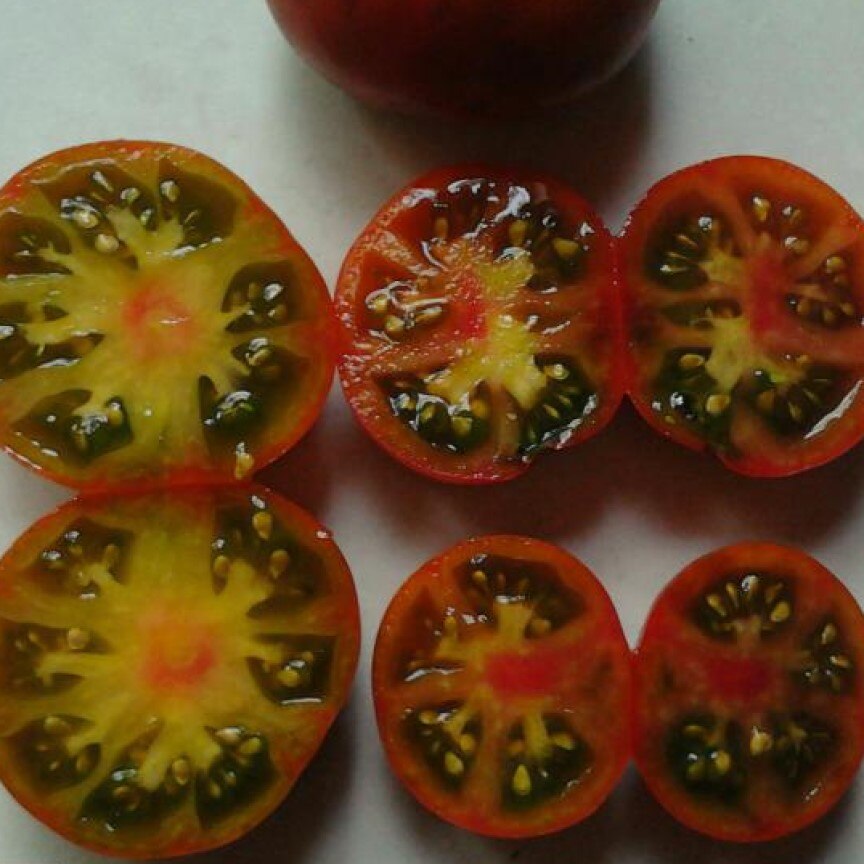 

Томат Гном Pit Viper семена 10 шт.