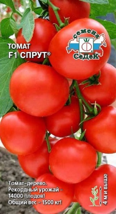 

Томат-дерево Спрут F1, семена