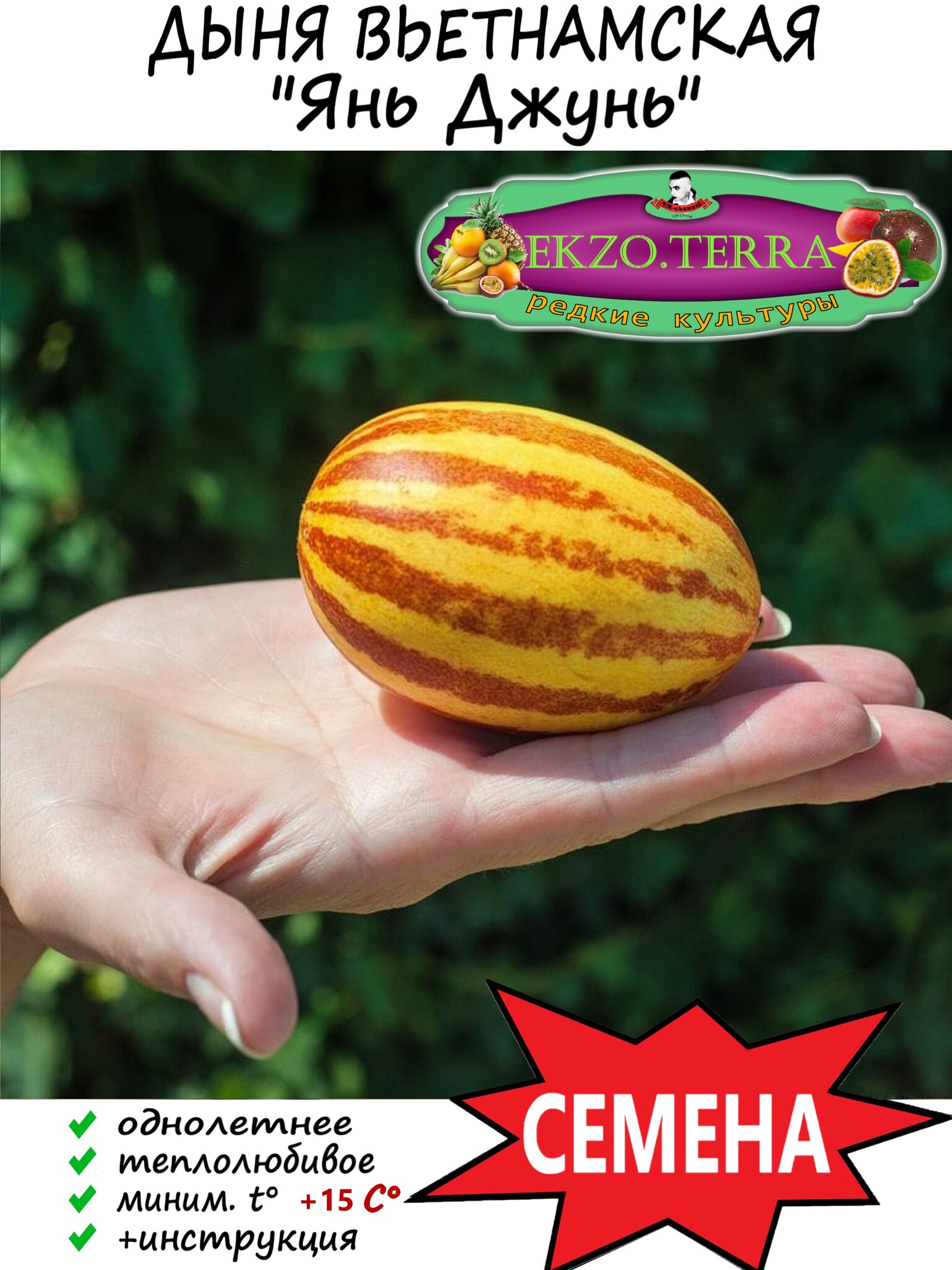 

Семена "Вьетнамская дыня" (Янь Джунь) (5 семян)