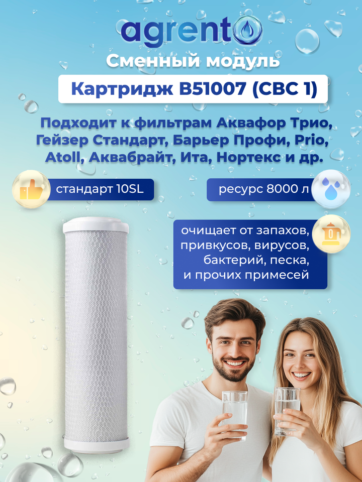

Картридж В51007 (свс 1) из активированного угля к фильтрам Аквафор Трио, Барьер Профи, Гейзер Стандарт и др. систем 10SL