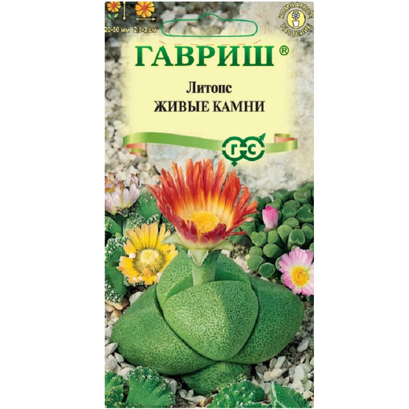 

Литопс Живые Камни СЕМЕНА 5 шт суккуленты комнатные домашние цветы