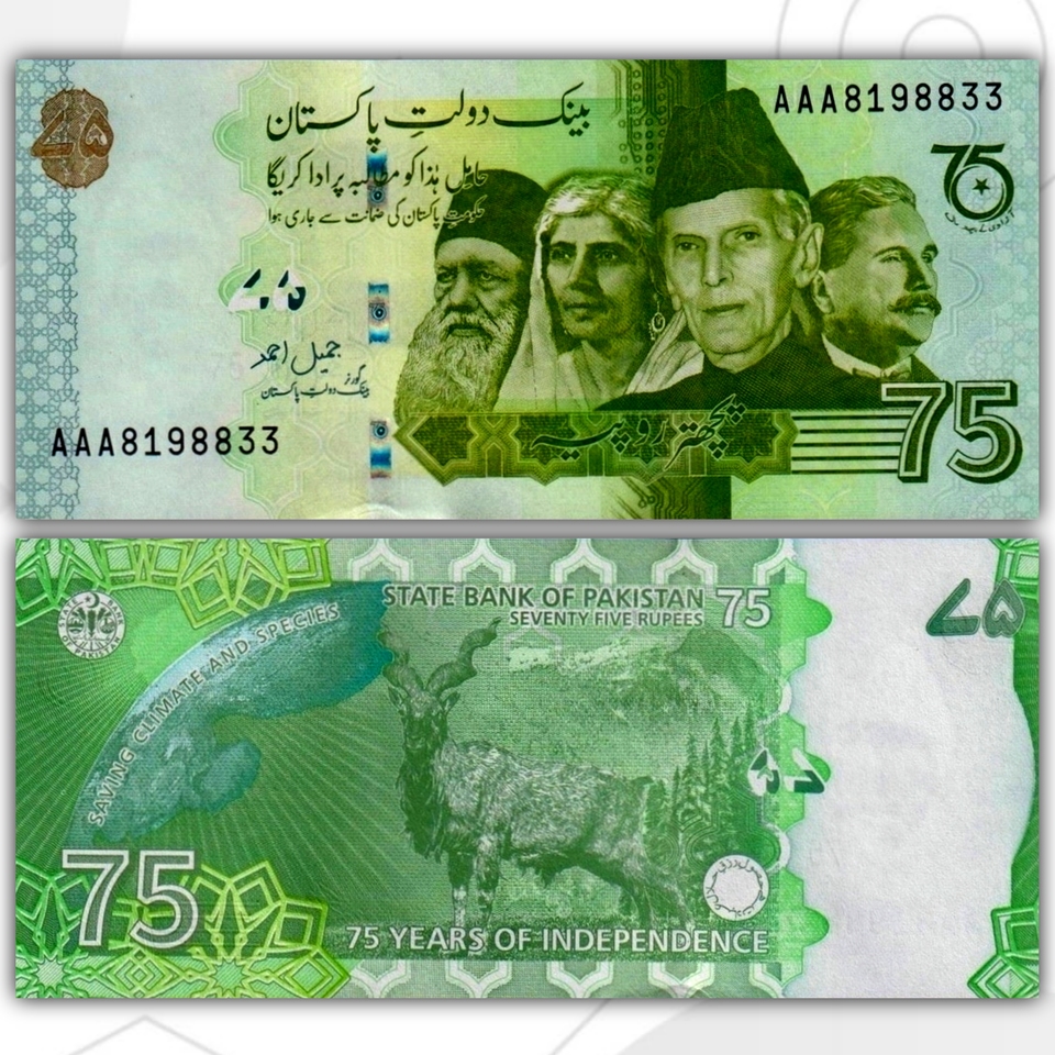 

банкнота Пакистан 75 рупий 2022 год юбилейная