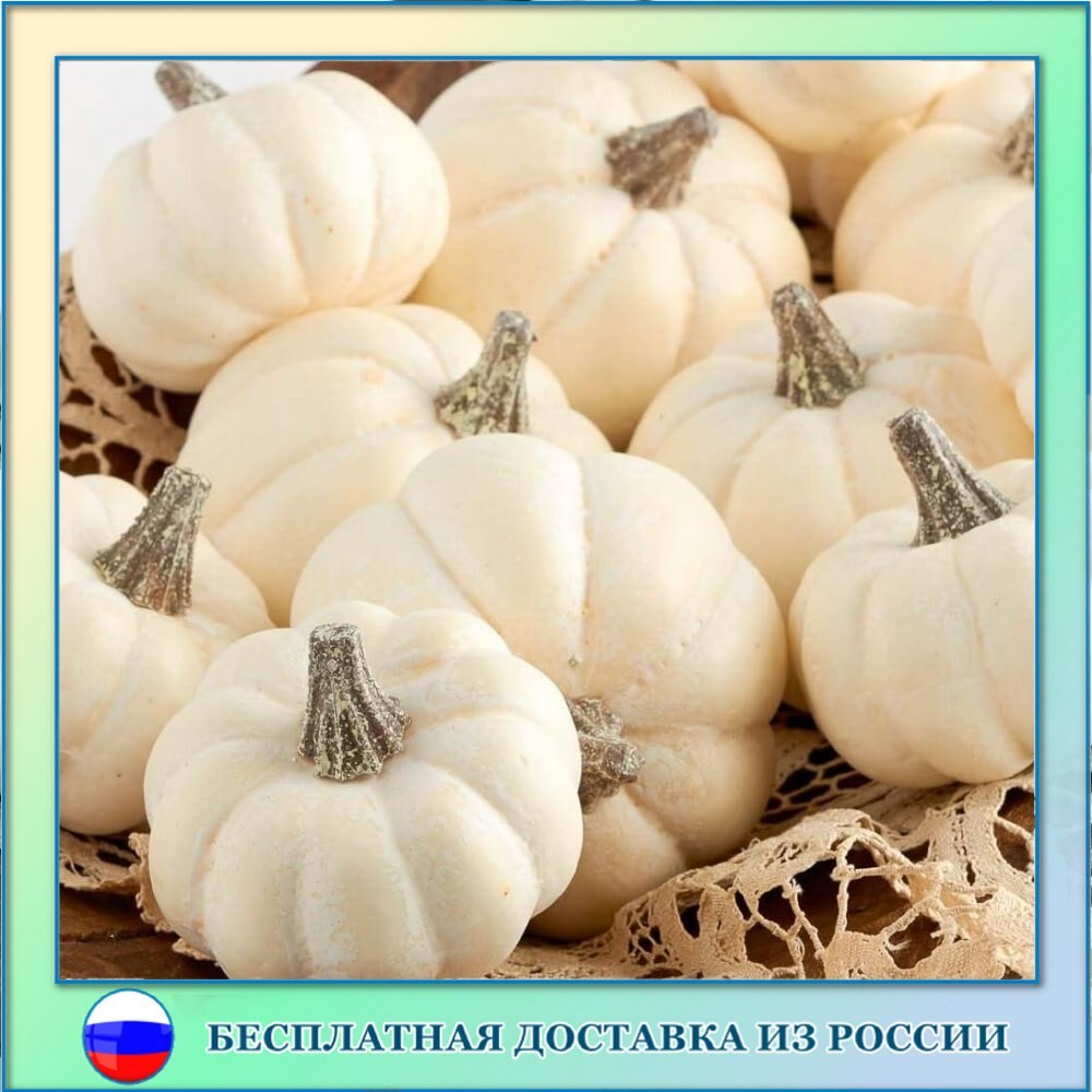 

Тыква декоративная Бэби Бой семена 5 шт.