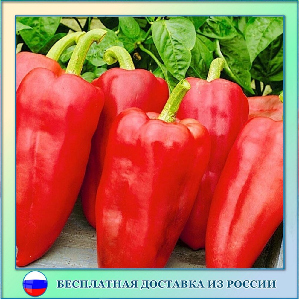 

Перец сладкий Благодар семена 10 шт.