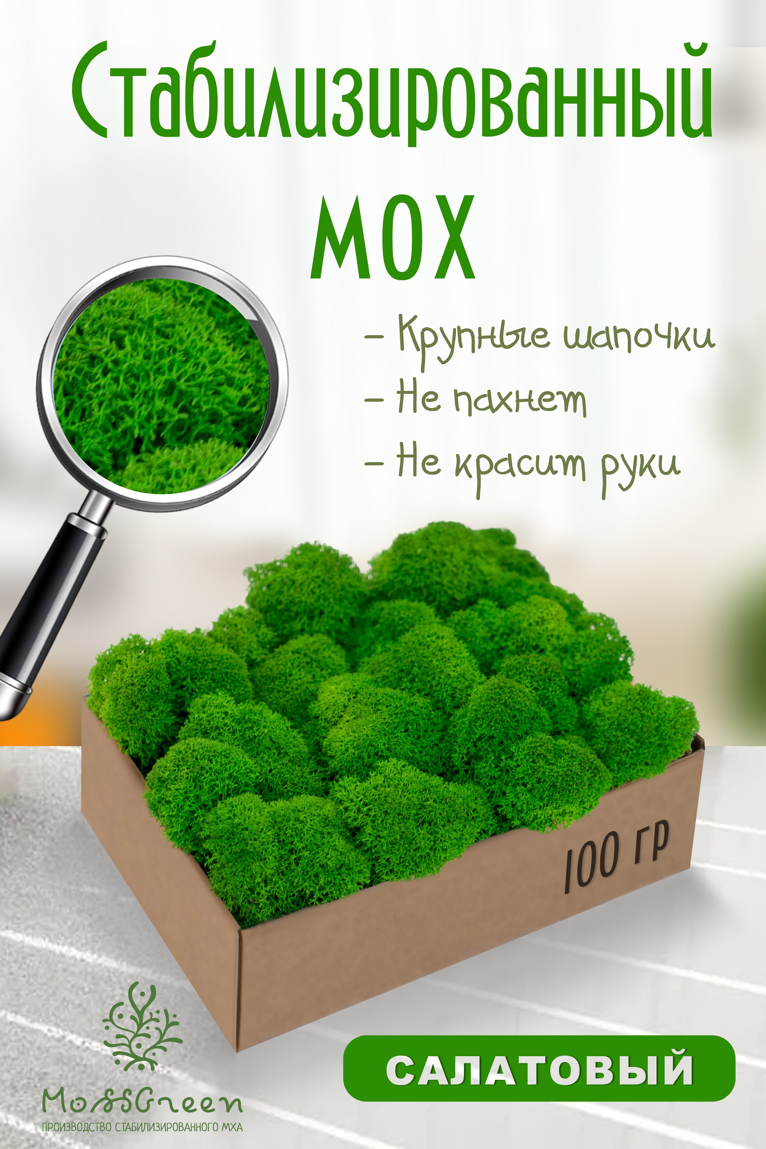 

Мох стабилизированный 100 гр/мох ягеля MossGreen цвет 10 Салатовый