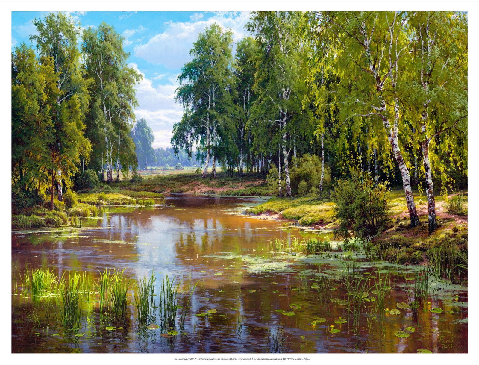 

Постер на холсте, "Заросший пруд", 80х60 см., художник - Басов Сергей. Холст в рулоне, Арт. БС-р29