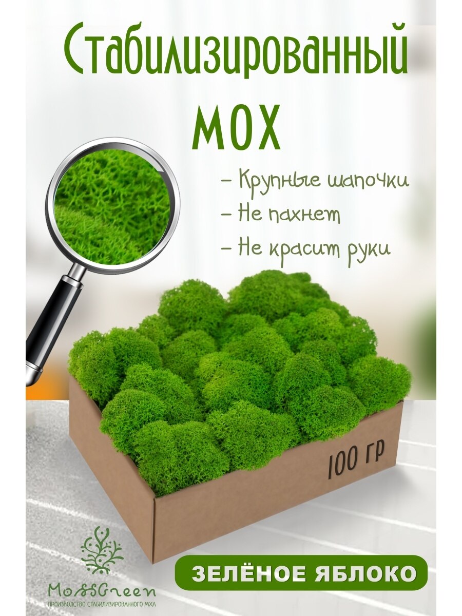 

Мох стабилизированный 100 гр/мох ягеля MossGreen цвет 8 зеленое яблоко
