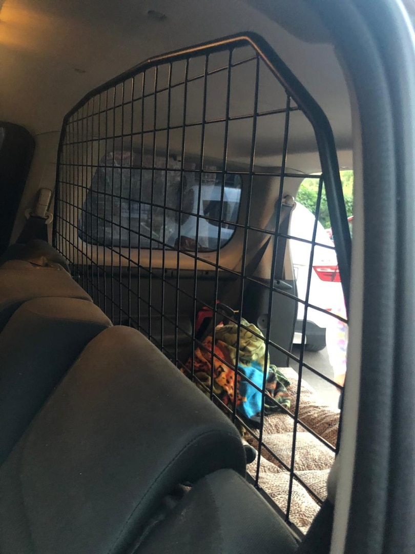 

Nissan Pathfinder 3 поколение (R51), 2005–2014 решетка в багажник металлическая Dog Voyage