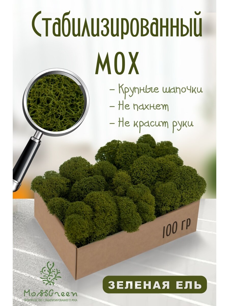

Мох стабилизированный 100 гр/мох ягеля MossGreen цвет 1 зеленая ель