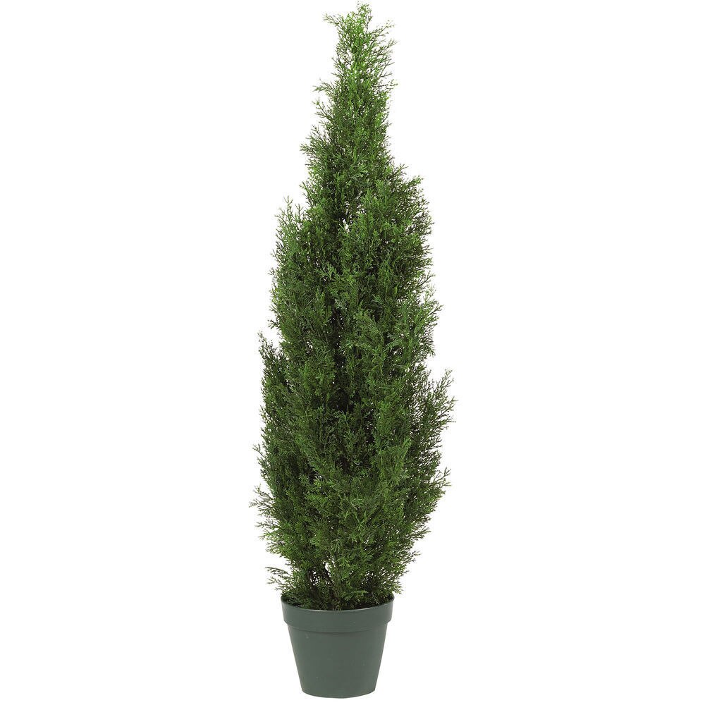 

Туя уличная Эйр Элеганс, 90 см, зеленая 10.0215054/3N Treez