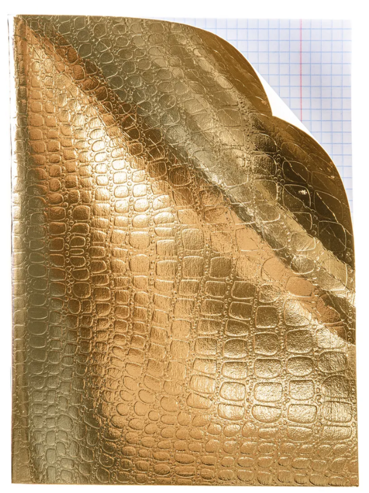 

Тетрадь Hatber 96л А5ф клетка на скобе обложка бумвинил METALLIC тиснение CROCO Золото НОВИНКА