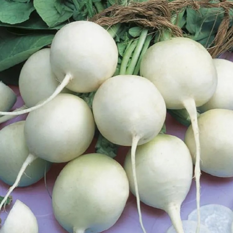 

Семена редиса Афродита Орешка 50 шт