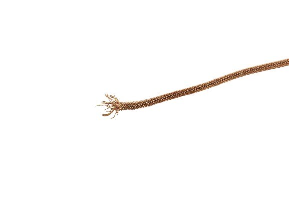 

Вывод гибкий VTW-2.6