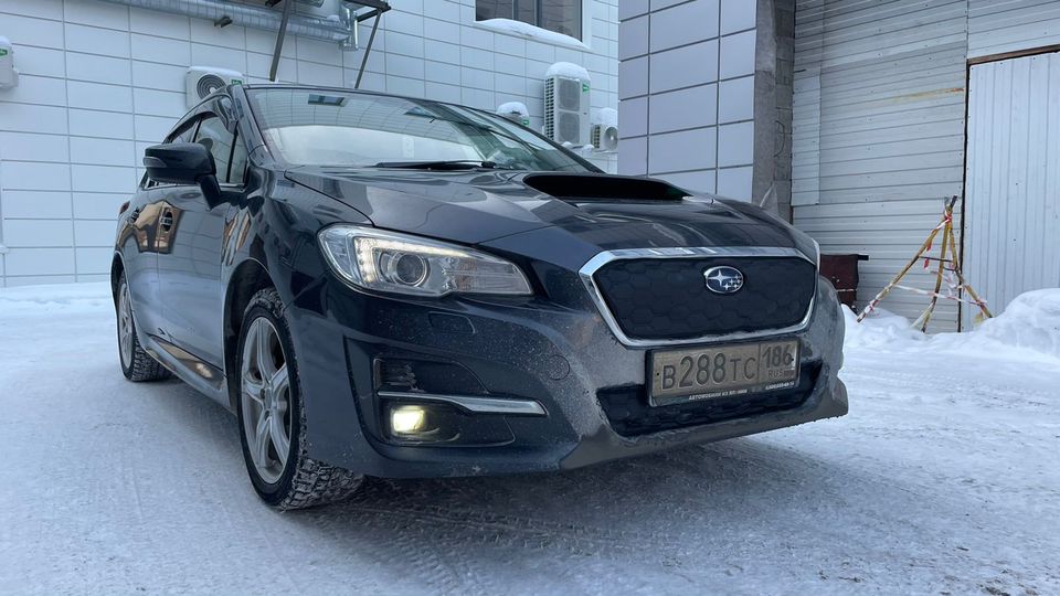 

Утеплитель радиатора и бампера для Subaru Levorg 2014 -2020 I