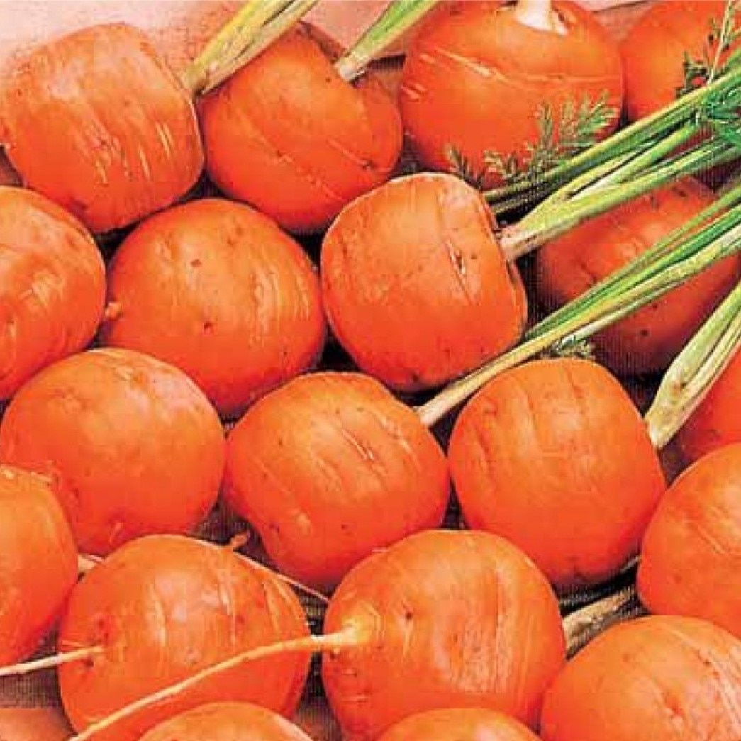 

Семена моркови Парижский рынок Орешка 50 шт