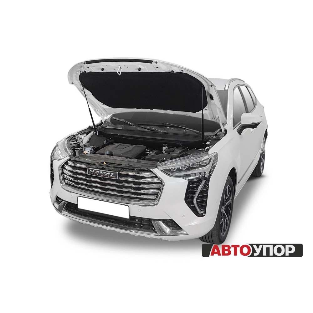 

Для Haval Jolion (Хавейл Джолион) Газовые упоры (амортизаторы) капота АвтоУпор (UHAJOL011)