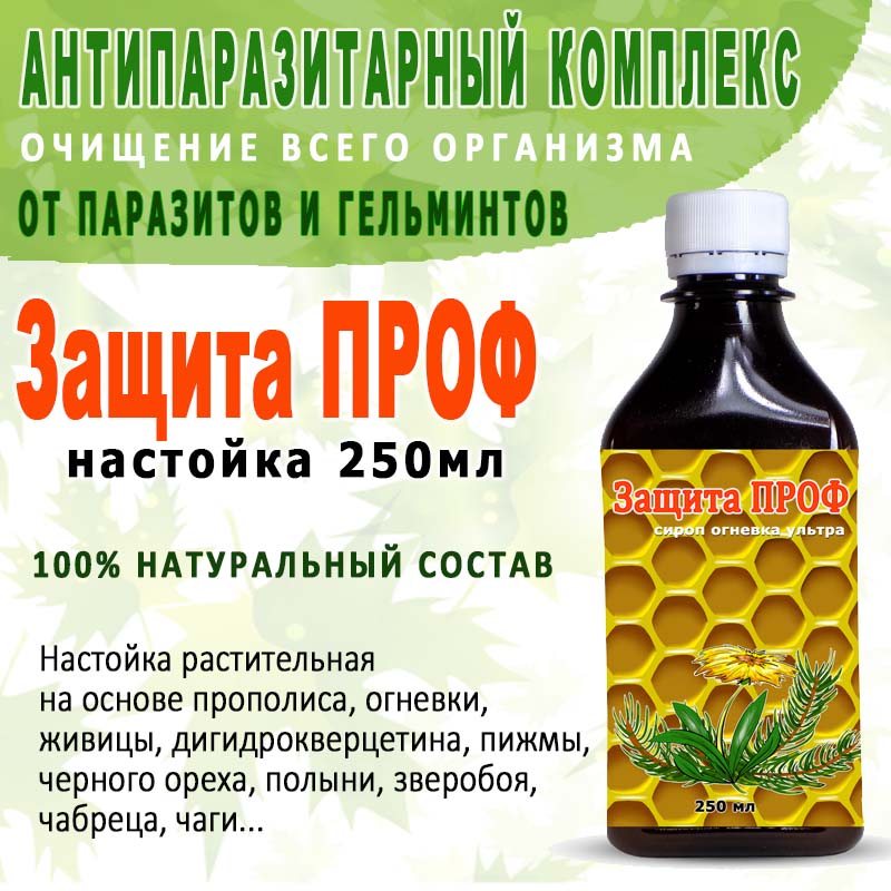

Защита ПРОФ 330гр, Для иммунитета, очищение, защита от паразитов, противопаразитарный, антипаразитарный