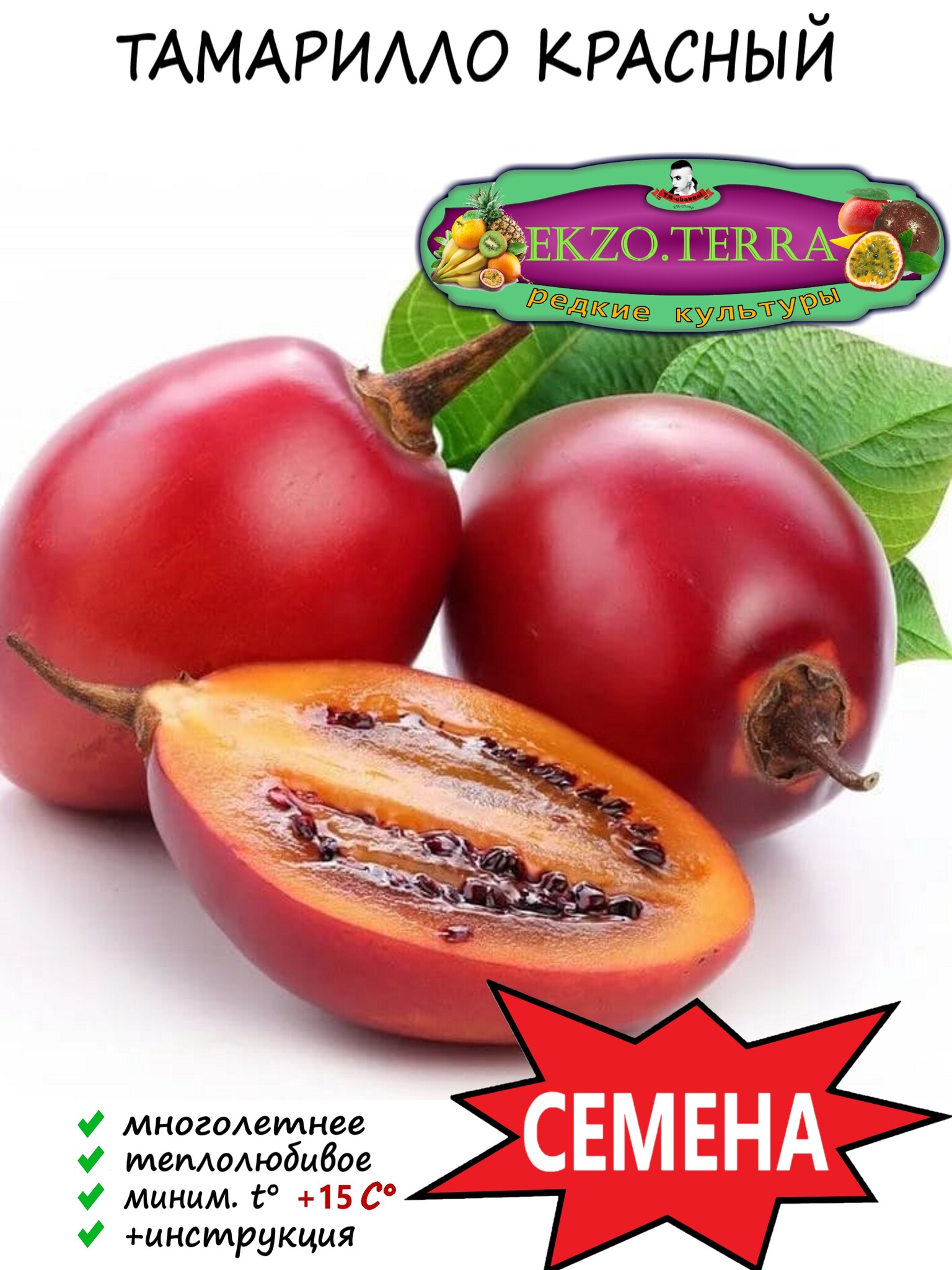 

Семена "Тамарилло" красное (Цифомандра, Томатное дерево) (5 семян)