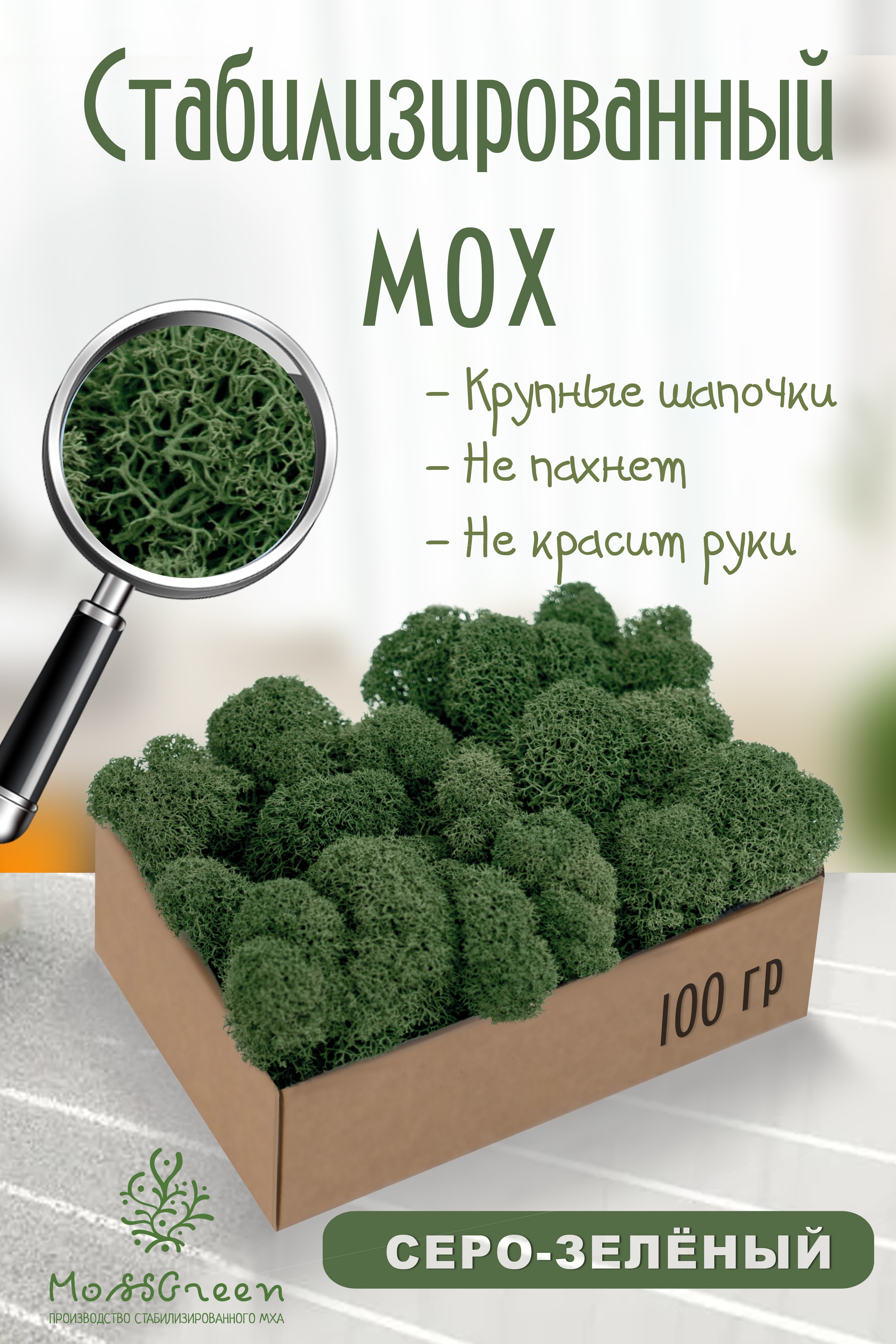 

Мох стабилизированный 100 гр/мох ягеля MossGreen цвет 13 Серо-зелёный