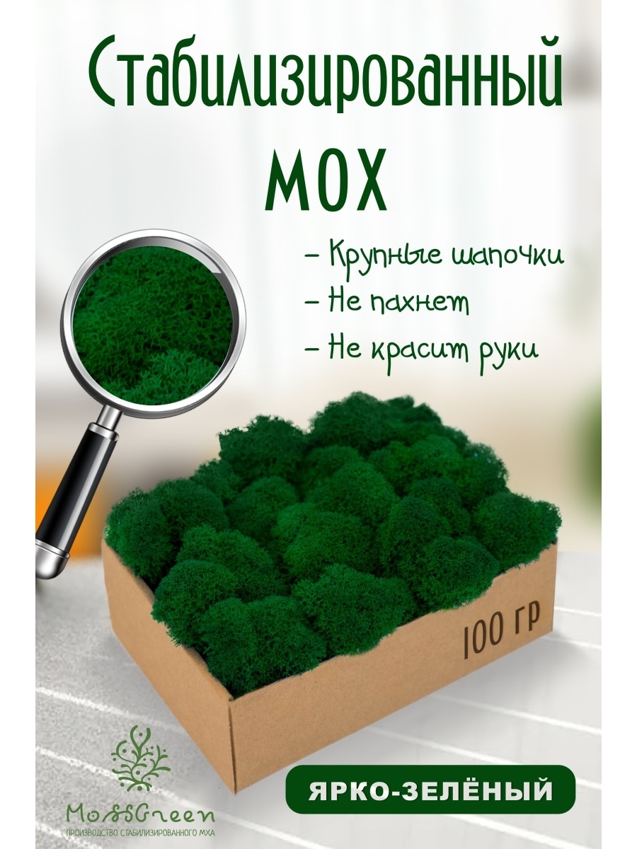 

Мох стабилизированный 100 гр/мох ягеля MossGreen цвет 5 ярко-зеленый