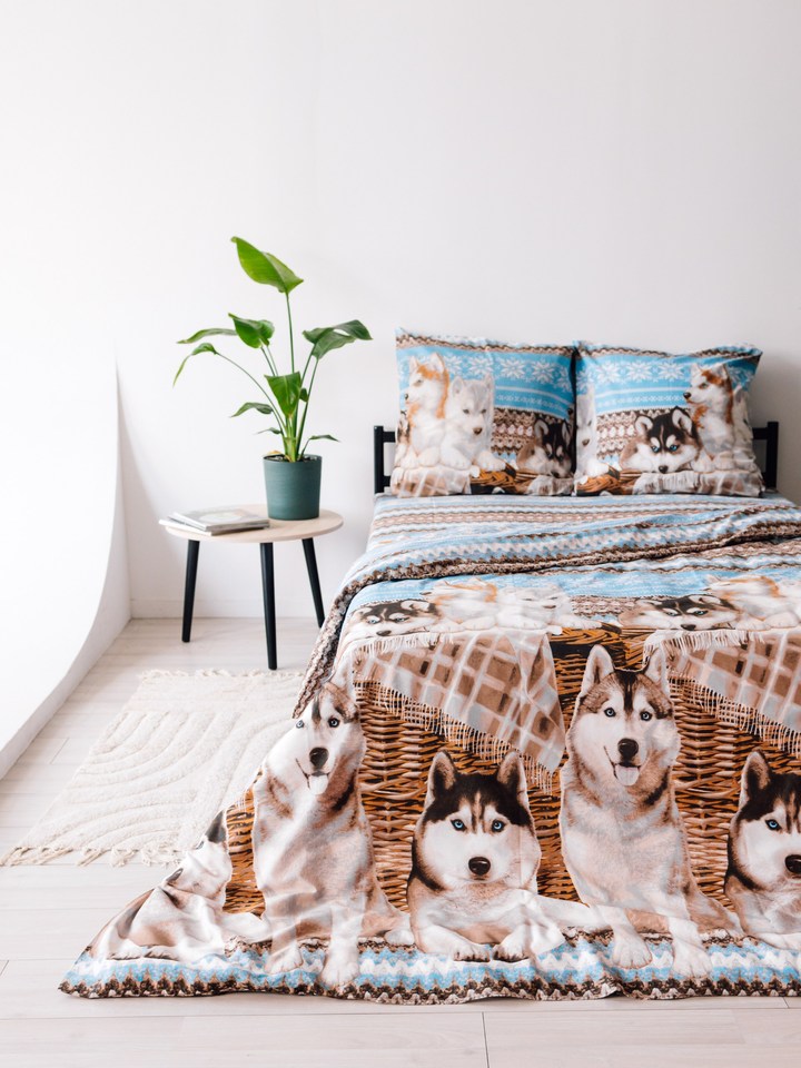 

Постельное белье Бязь ДНС-Текстиль - Хаски