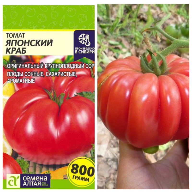 

Семена томатов,Томат японский краб,семена Алтая,помидоры семена