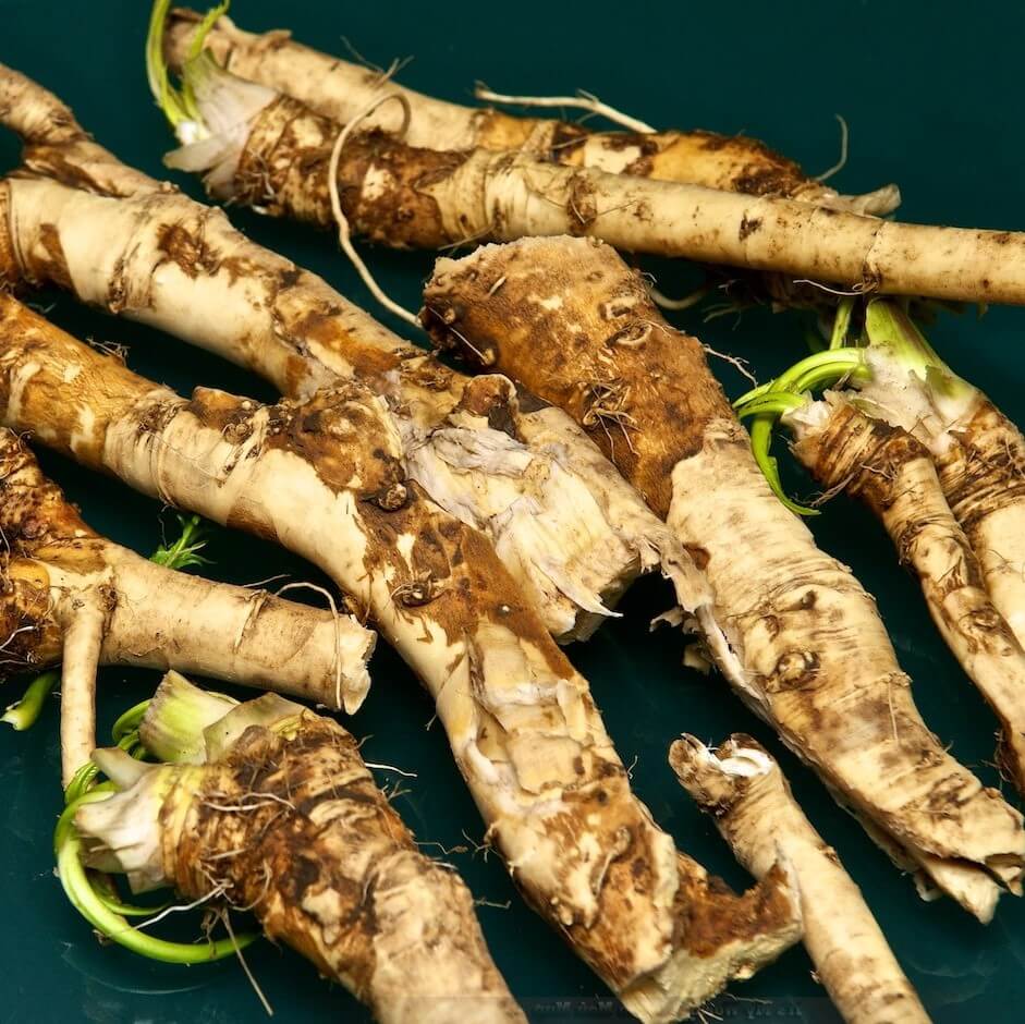 

Семена Катран аккорд 15 ШТ