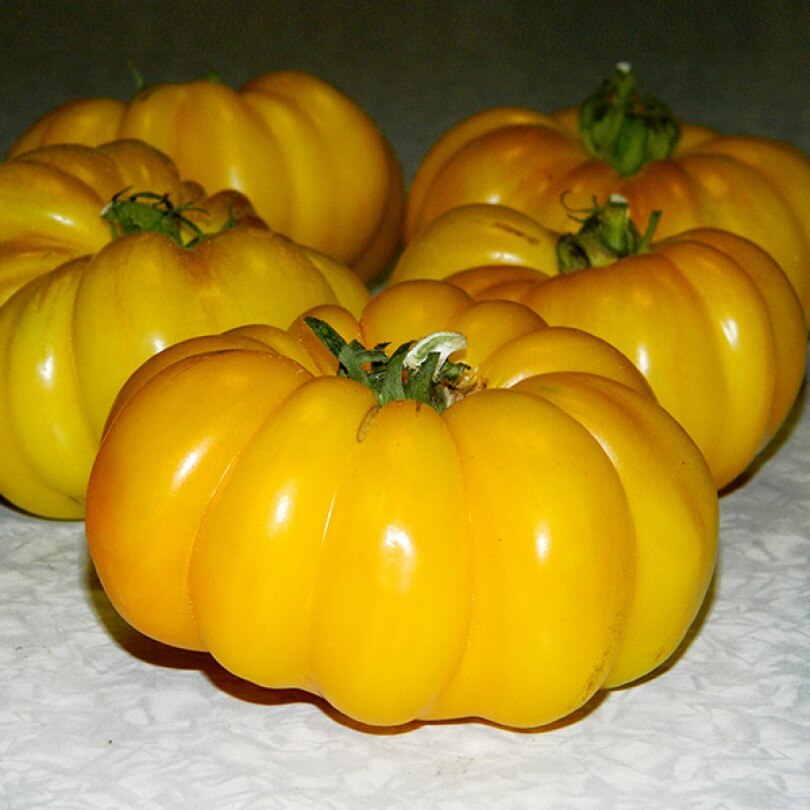 

Семена Томат Измаильский ребристый 10 ШТ